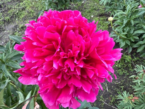 Изображение WhatsApp 2025-07-01 в 16.58.39_7a8daf12 SVITOCH